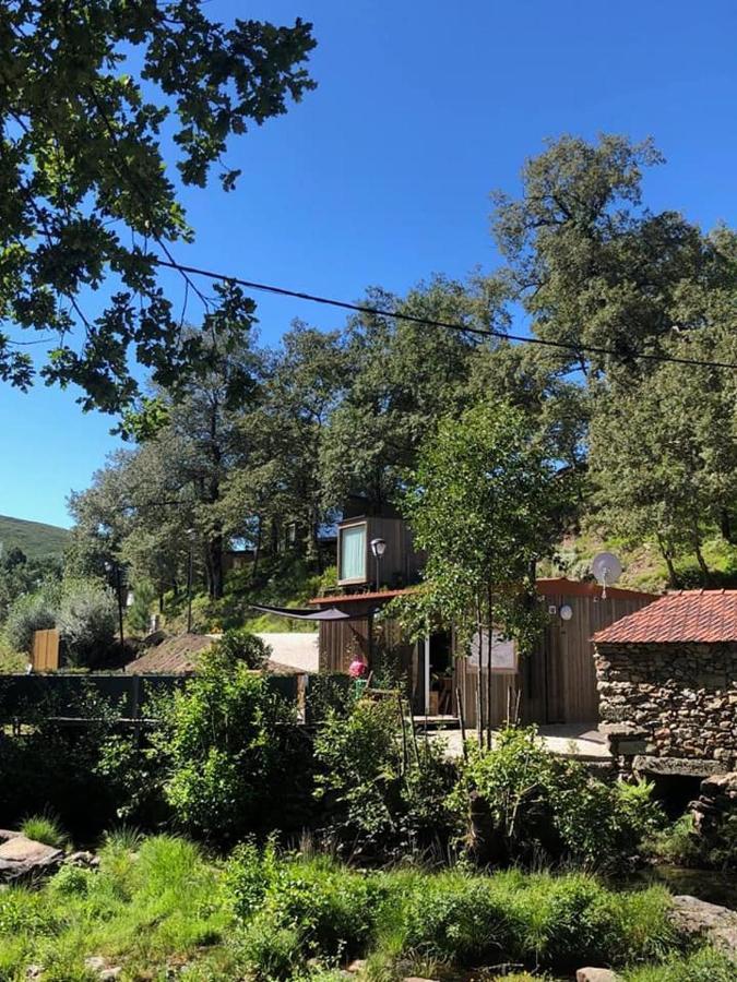 Ninho Da Avo Selvagem Villa Montalegre Eksteriør billede