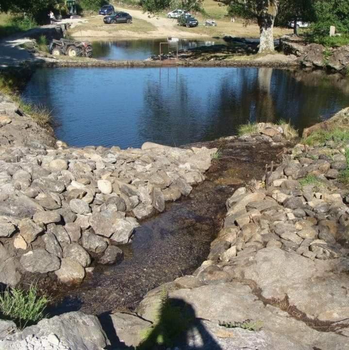 Ninho Da Avo Selvagem Villa Montalegre Eksteriør billede