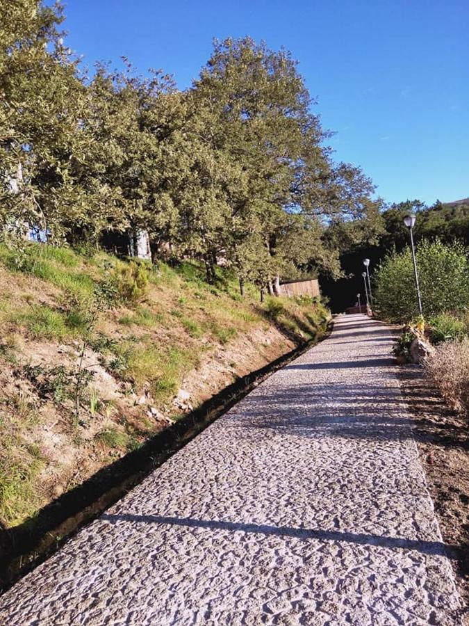 Ninho Da Avo Selvagem Villa Montalegre Eksteriør billede